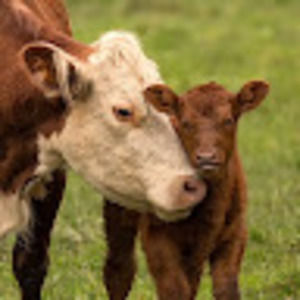 Meet your Posher, Kerri